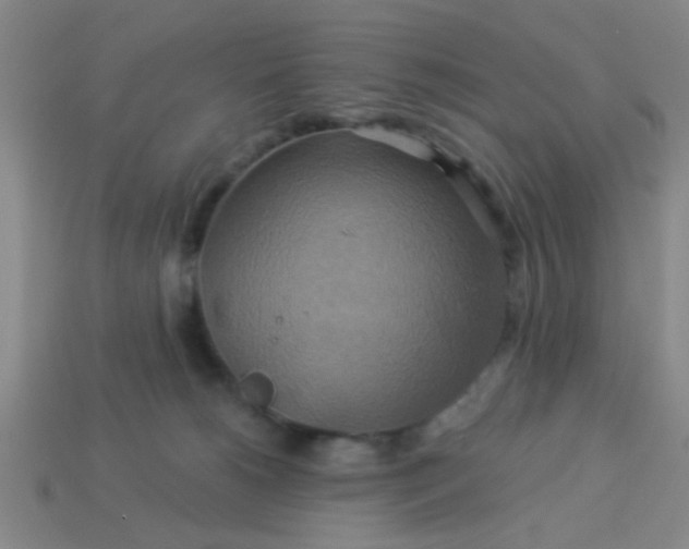 X0000114100180200910191649