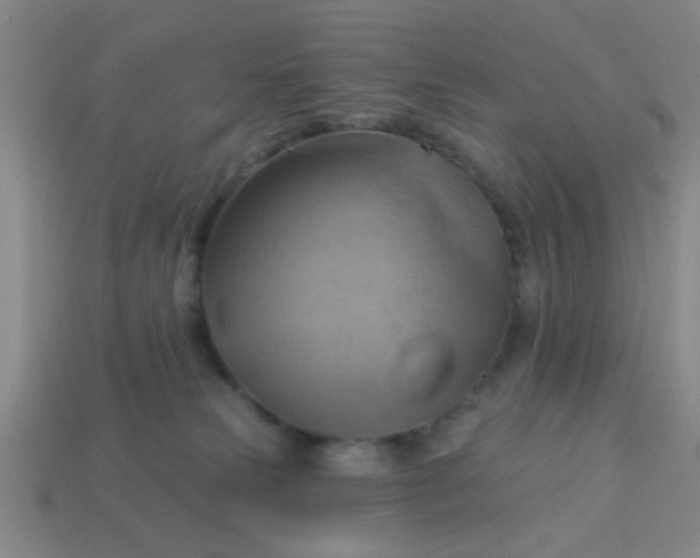 X0000114100181200910191649