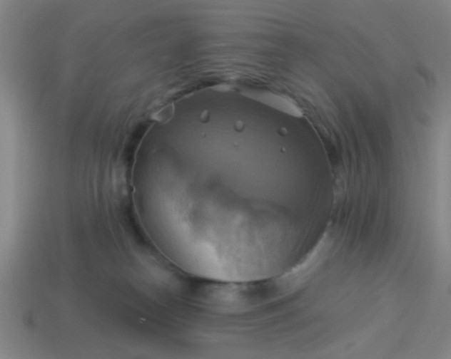 X0000114100182200910191649