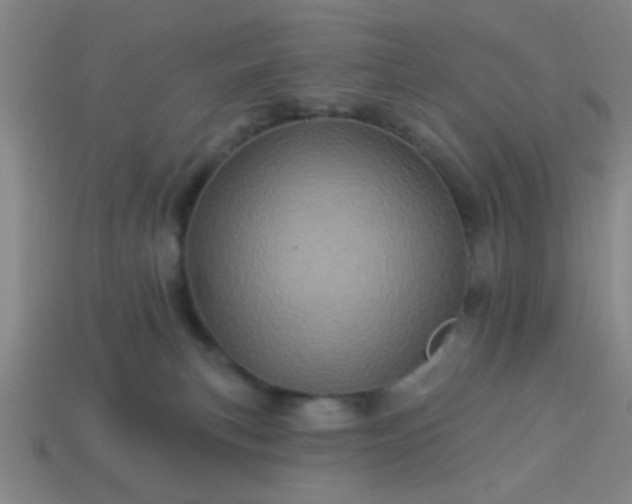 X0000114100183200910191649