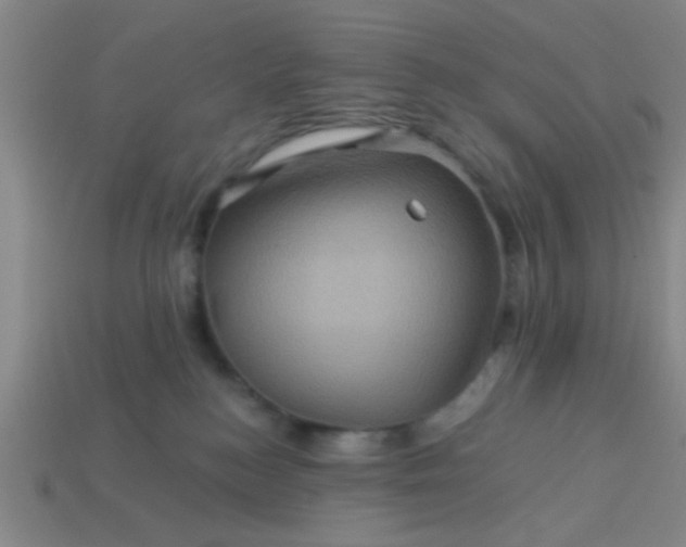 X0000114100184200910191649