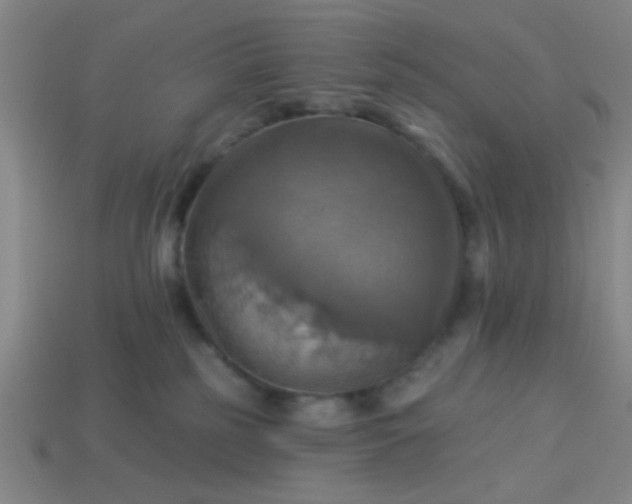 X0000114100185200910191649