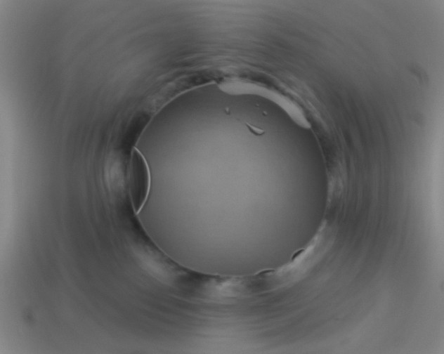 X0000114100186200910191649