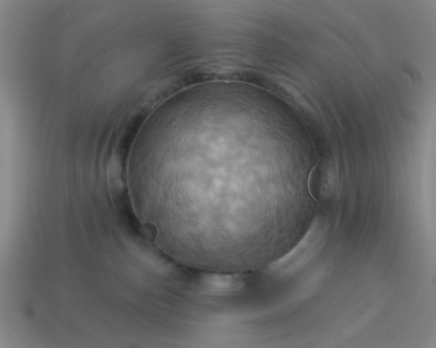 X0000114100187200910191649