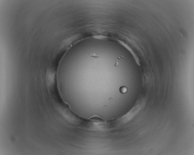 X0000114100188200910191649