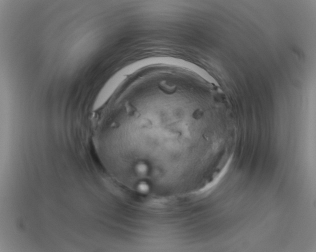 X0000114100190200910191649