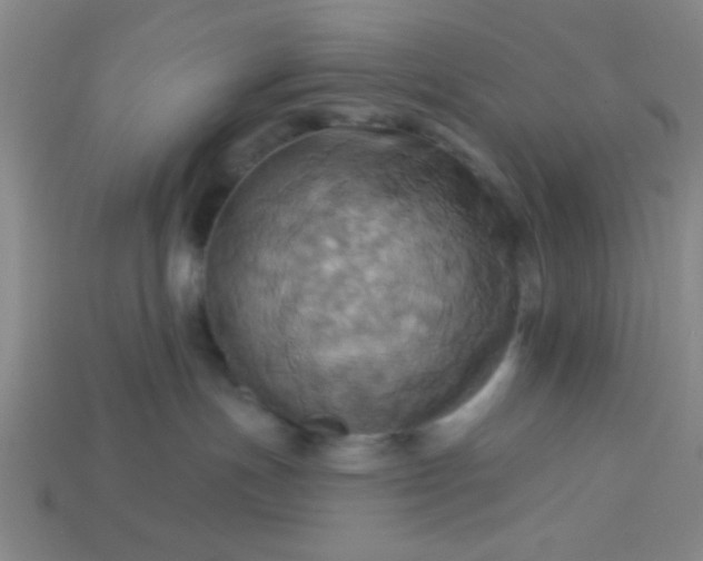 X0000114100191200910191649