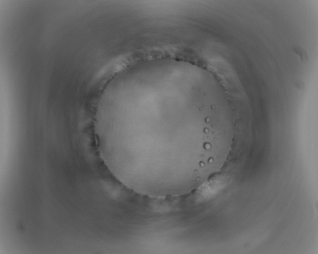 X0000114100192200910191649