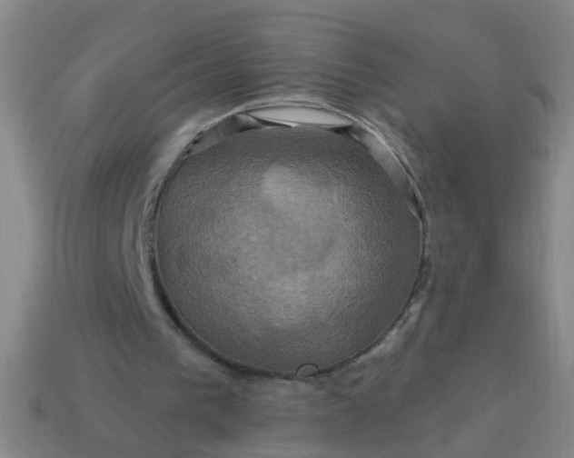 X0000114100193200910191649