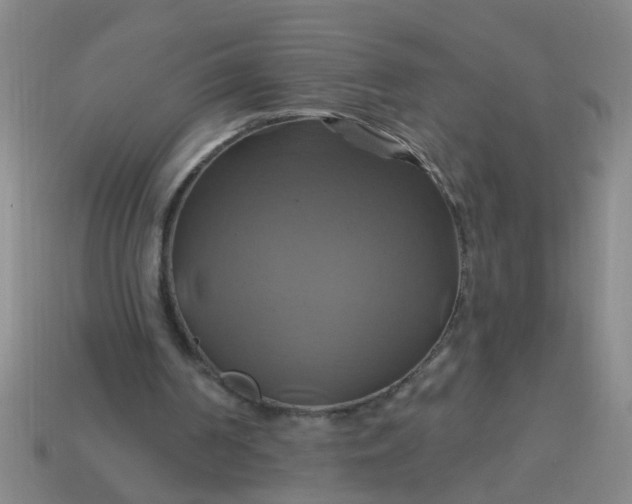 X0000114100194200910191649