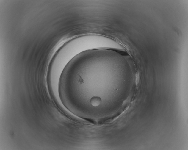 X0000114100195200910191649