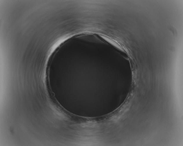 X0000114100196200910191649