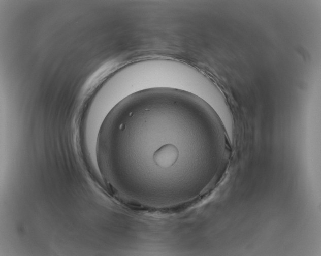 X0000114100197200910191649