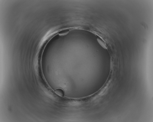 X0000114100198200910191649