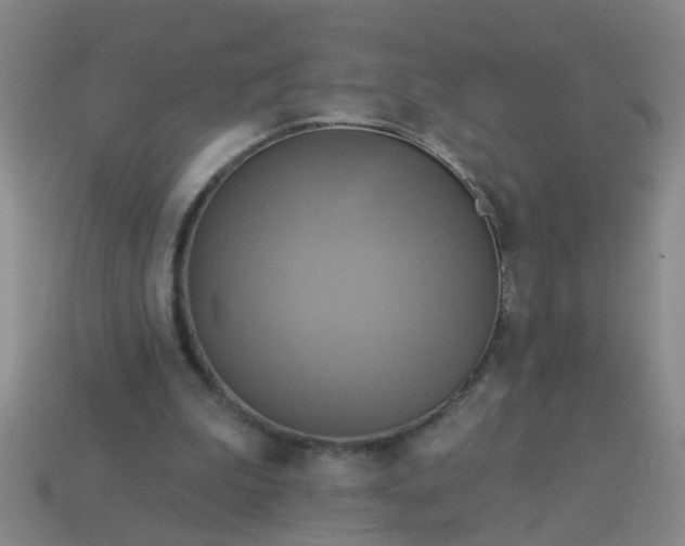 X0000114100199200910191649