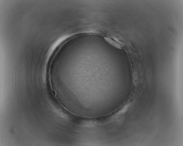 X0000114100200200910191649