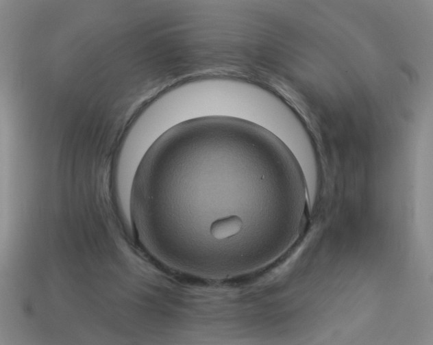 X0000114100201200910191649