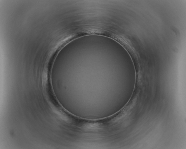 X0000114100202200910191649