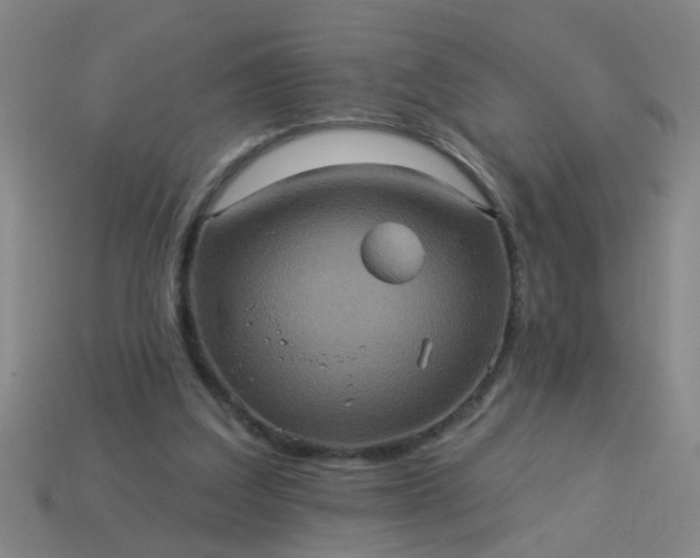 X0000114100203200910191649