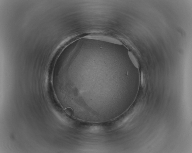 X0000114100204200910191649