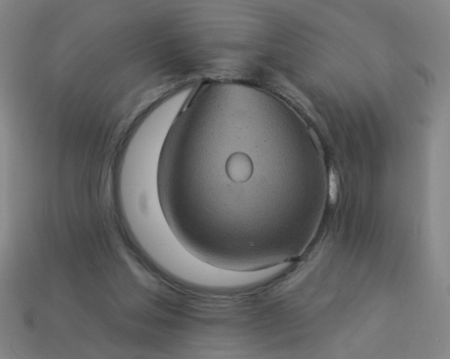 X0000114100205200910191649