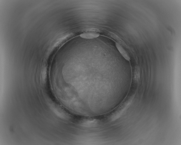 X0000114100206200910191649