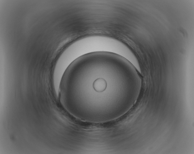 X0000114100207200910191649