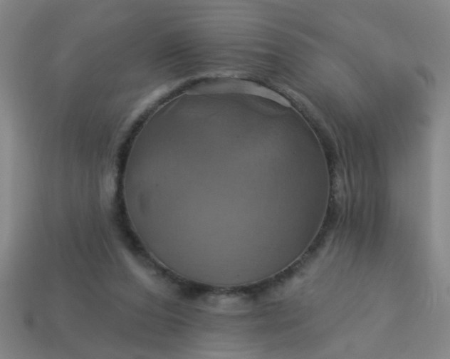 X0000114100208200910191649