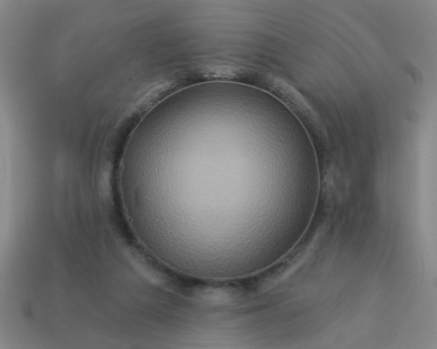 X0000114100209200910191649