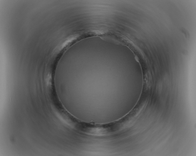 X0000114100212200910191649