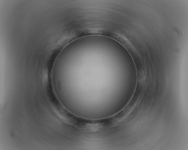 X0000114100213200910191649