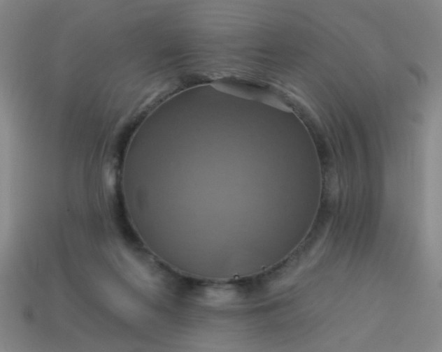 X0000114100214200910191648