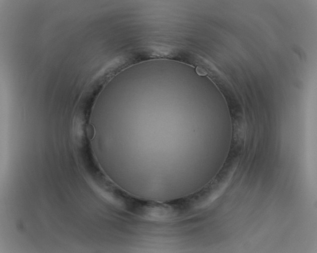 X0000114100215200910191648