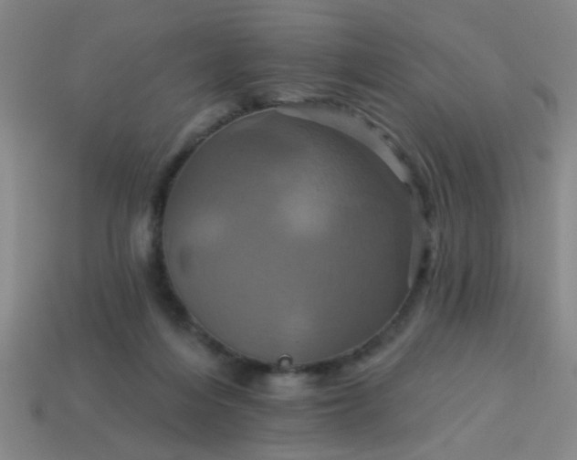 X0000114100216200910191648