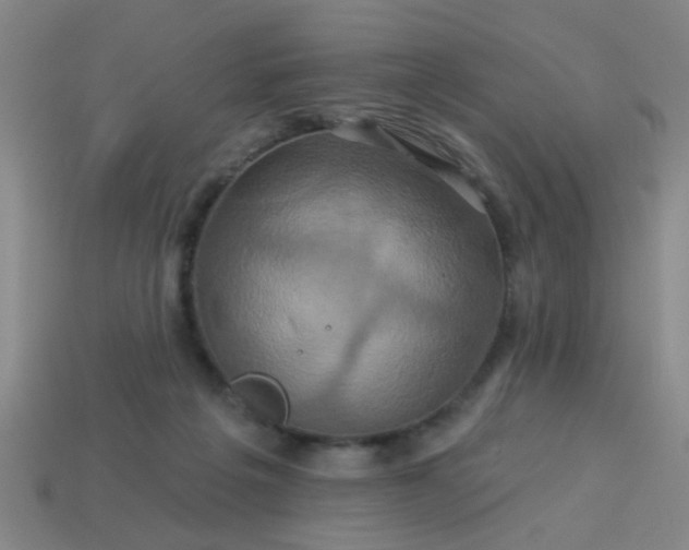 X0000114100217200910191648