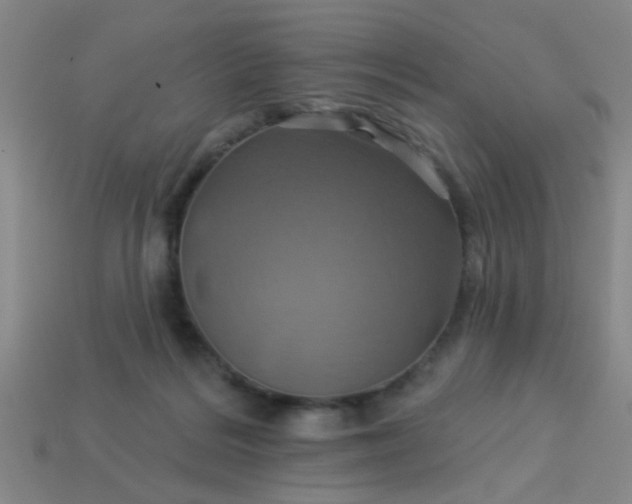 X0000114100220200910191648