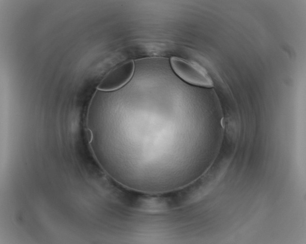 X0000114100221200910191648