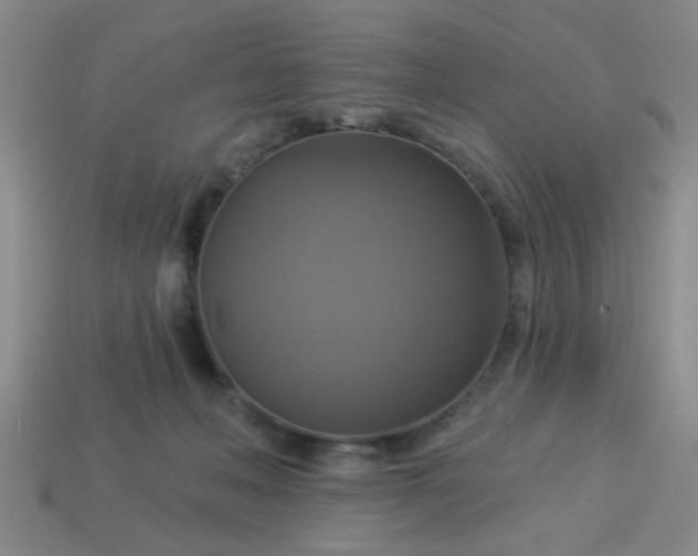 X0000114100222200910191648