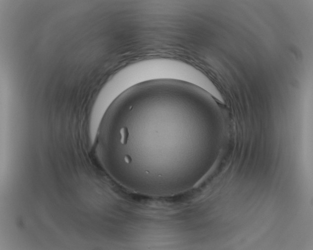 X0000114100223200910191648