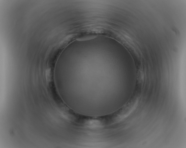 X0000114100224200910191648