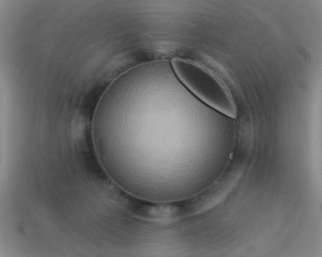 X0000114100225200910191648