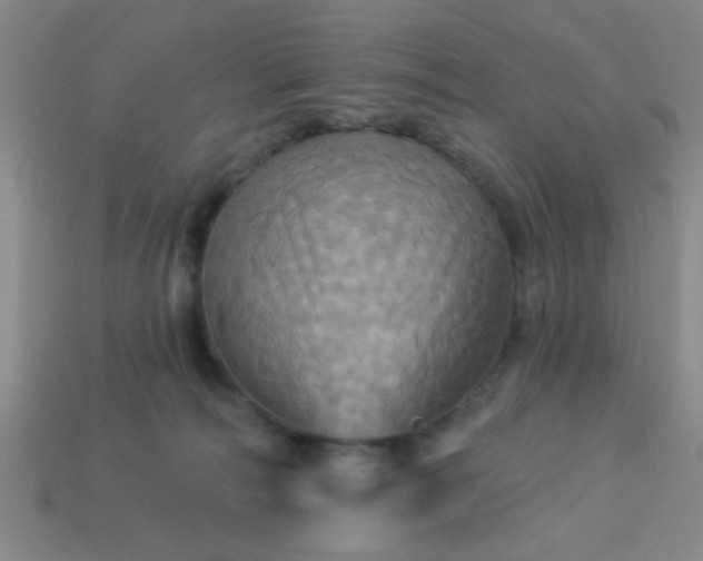 X0000114100226200910191648