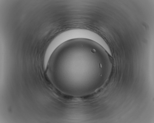 X0000114100227200910191648