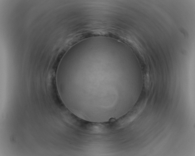 X0000114100229200910191648