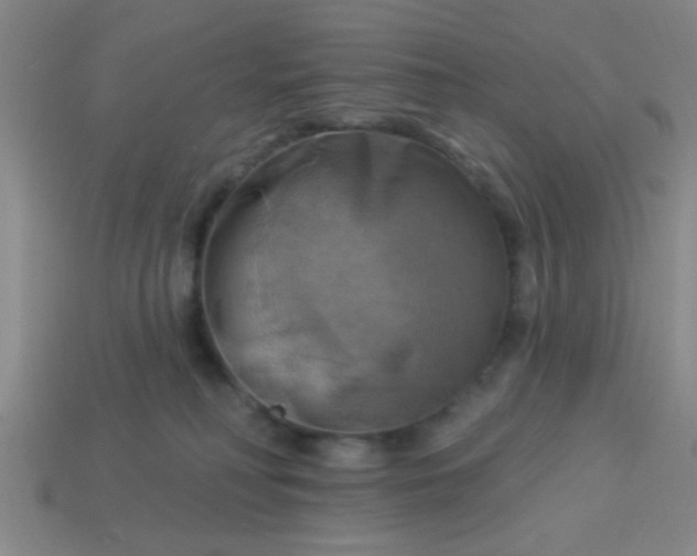 X0000114100230200910191648