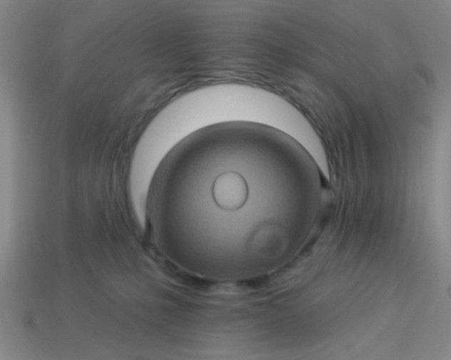 X0000114100231200910191648