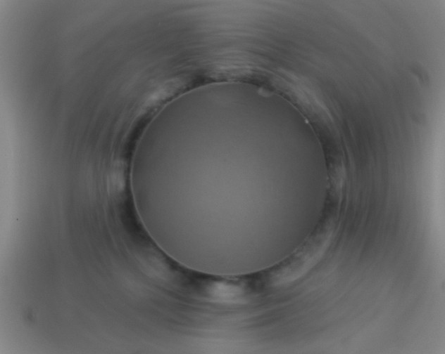 X0000114100232200910191648