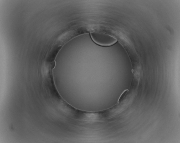 X0000114100233200910191648