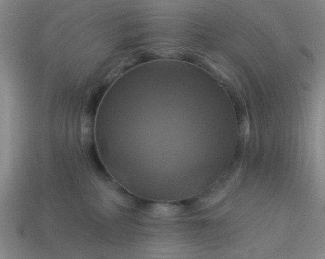 X0000114100234200910191648