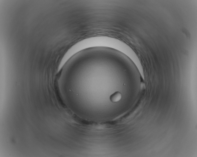 X0000114100235200910191648